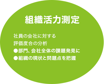 組織活力測定