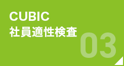 CUBIC 社員適性検査